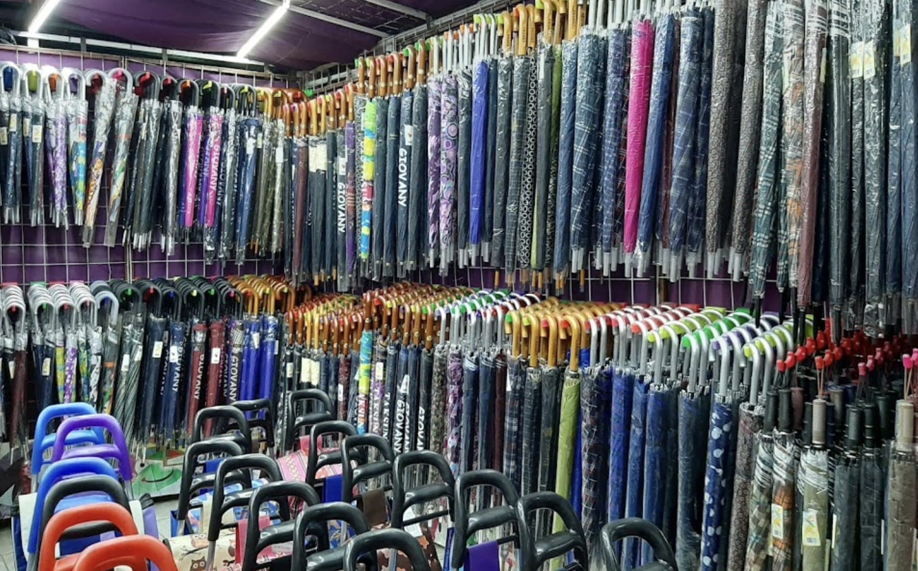 Exhibición de paraguas por modelo en la bodega